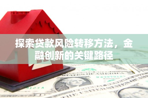 天元探索贷款风险转移方法，金融创新的关键路径