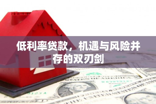 西盟低利率贷款，机遇与风险并存的双刃剑
