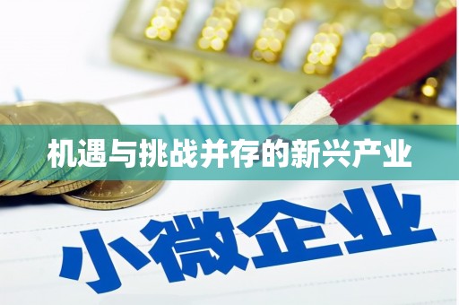 曾都机遇与挑战并存的新兴产业