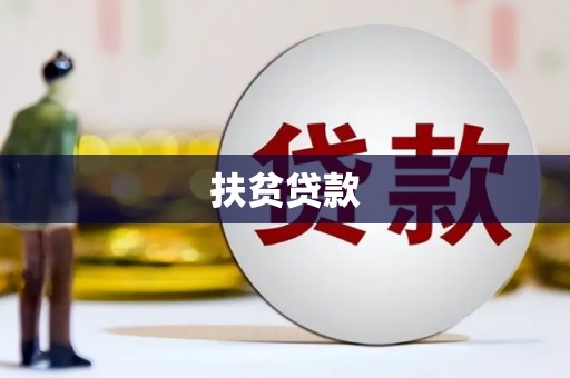 海原扶贫贷款