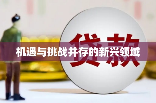 徐闻机遇与挑战并存的新兴领域