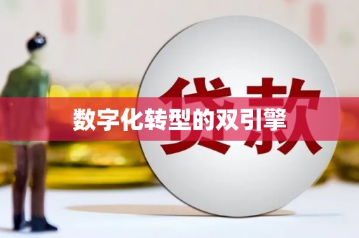 望谟数字化转型的双引擎