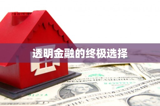 荔城透明金融的终极选择