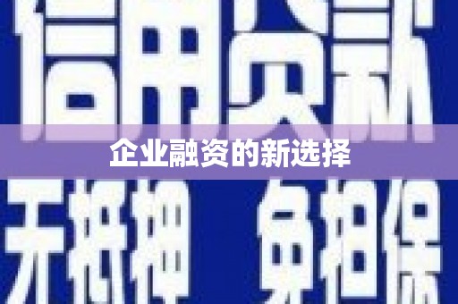 天元企业融资的新选择