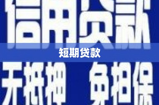 宜秀短期贷款